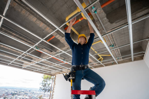 Best Residential Plumbing Services  in Felton, CA
